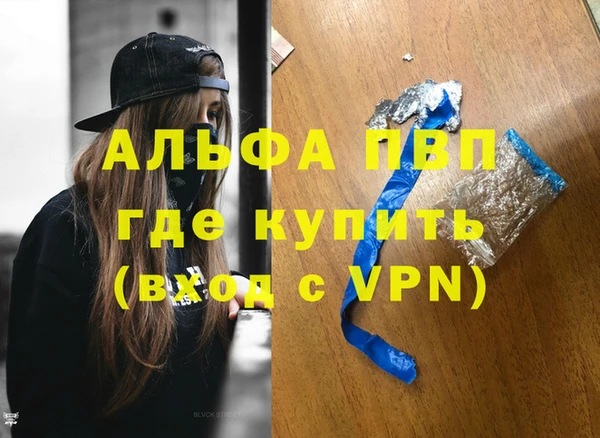 гашик Алексин