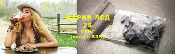 гашик Алексин