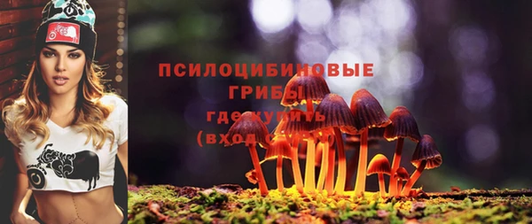 гашик Алексин