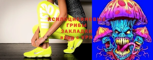 прущие грибы Алексеевка