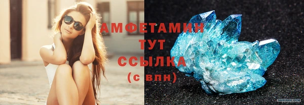 гашик Алексин