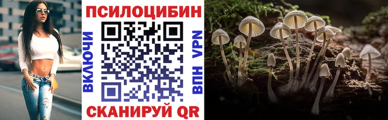 где найти наркотики  Орск  omg зеркало  Галлюциногенные грибы GOLDEN TEACHER 